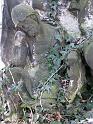 Neust.Friedhof (43)